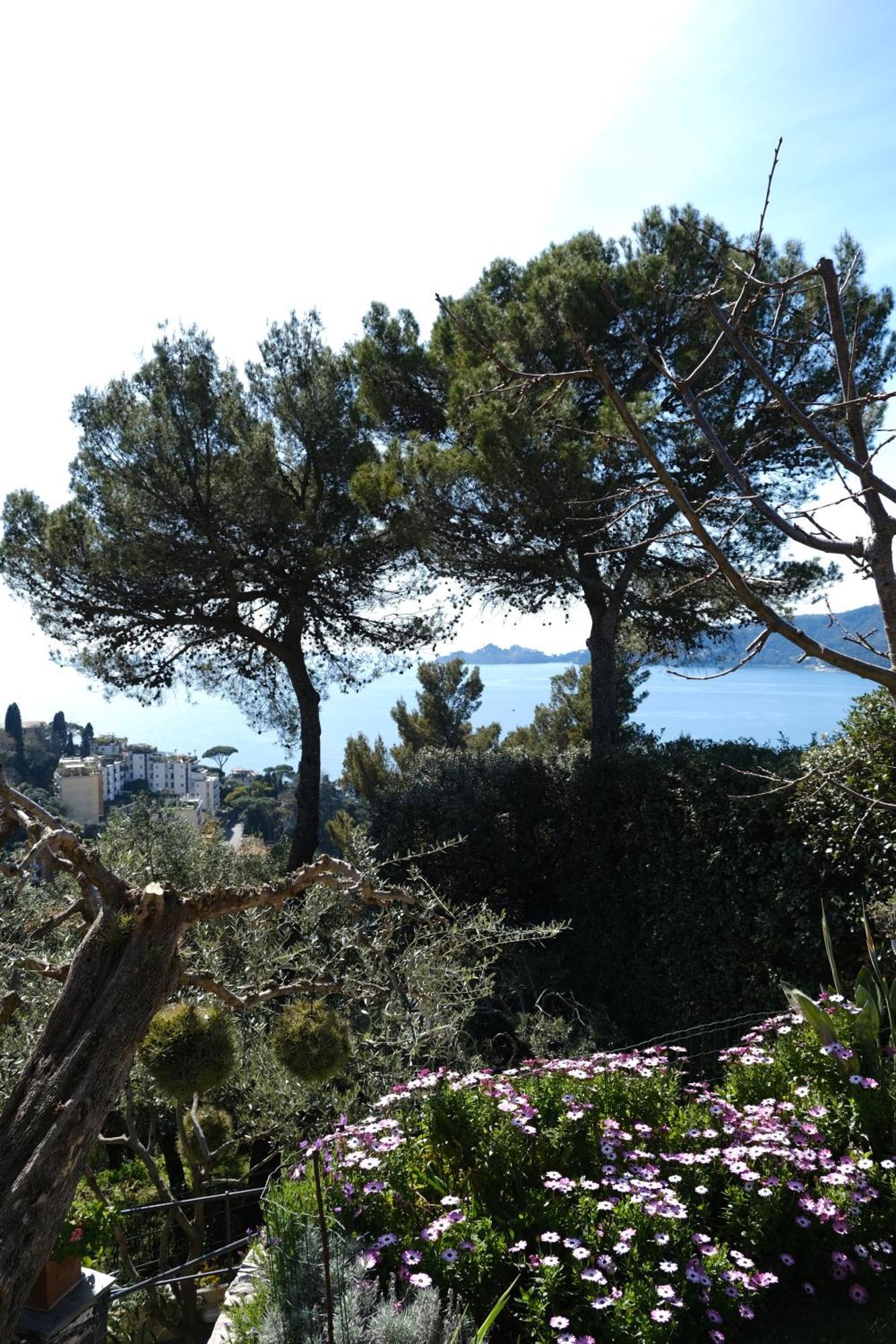 L'Alcova Tra Gli Ulivi By Portofinovacanze Дзоали Екстериор снимка